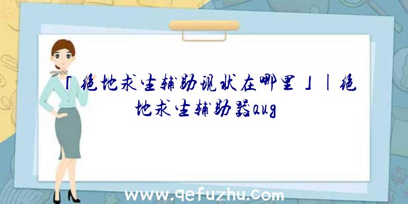 「绝地求生辅助现状在哪里」|绝地求生辅助器aug